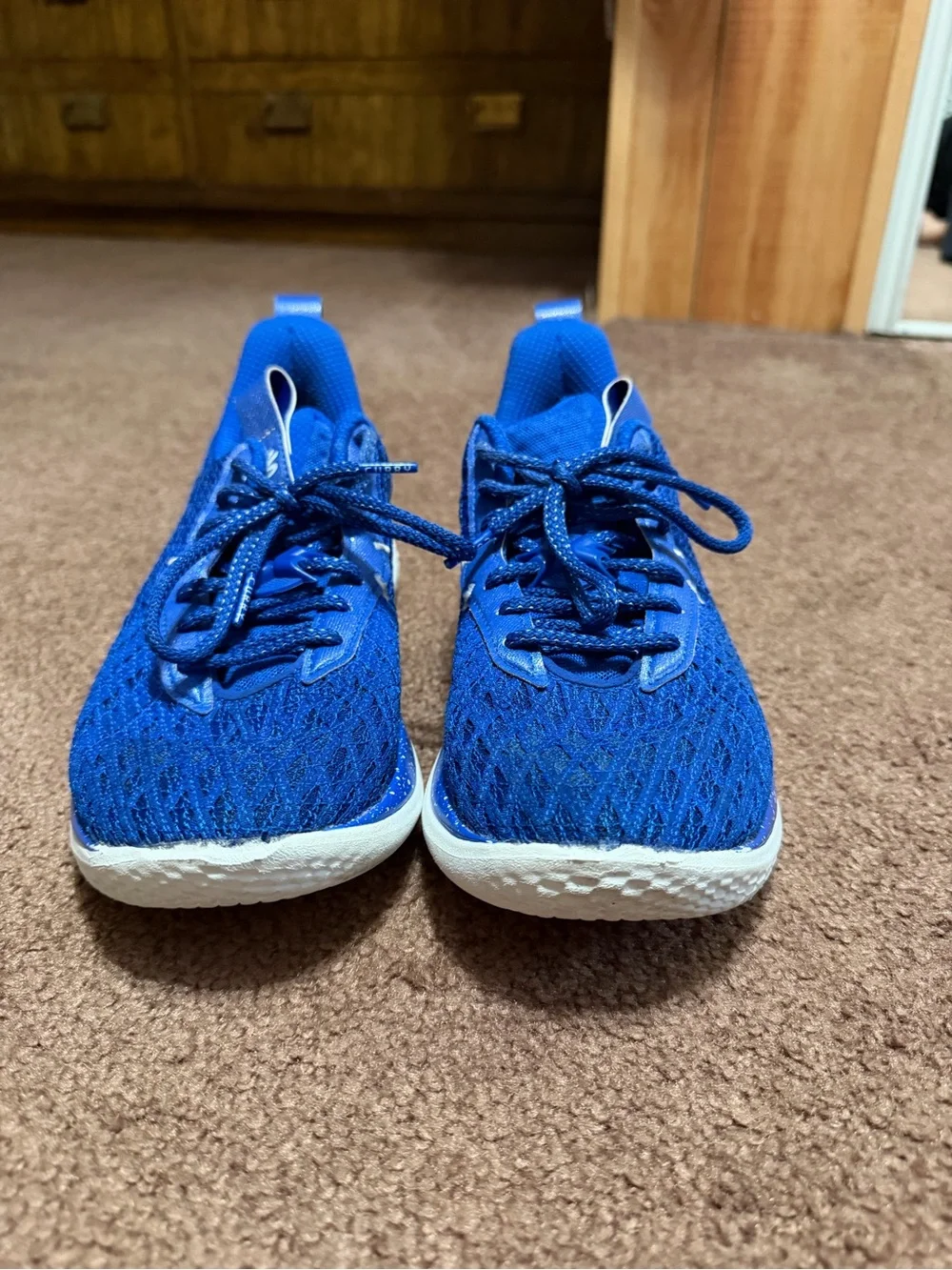 Curry comfortable royal